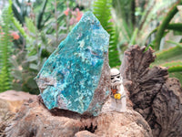 Natural Drusy Coated Chrysocolla Specimens x 6 From Likasi Mine, Congo - Toprock Gemstones and Minerals 