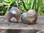 Polished Banded Agate Standing Free Forms, Hearts, Flames x 6 From Madagascar - Toprock Gemstones and Minerals 