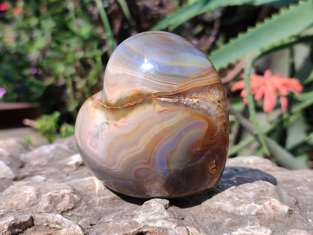 Polished Banded Agate Standing Free Forms, Hearts, Flames x 6 From Madagascar - Toprock Gemstones and Minerals 