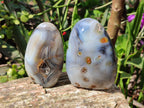 Polished Banded Agate Standing Free Forms, Hearts, Flames x 6 From Madagascar - Toprock Gemstones and Minerals 