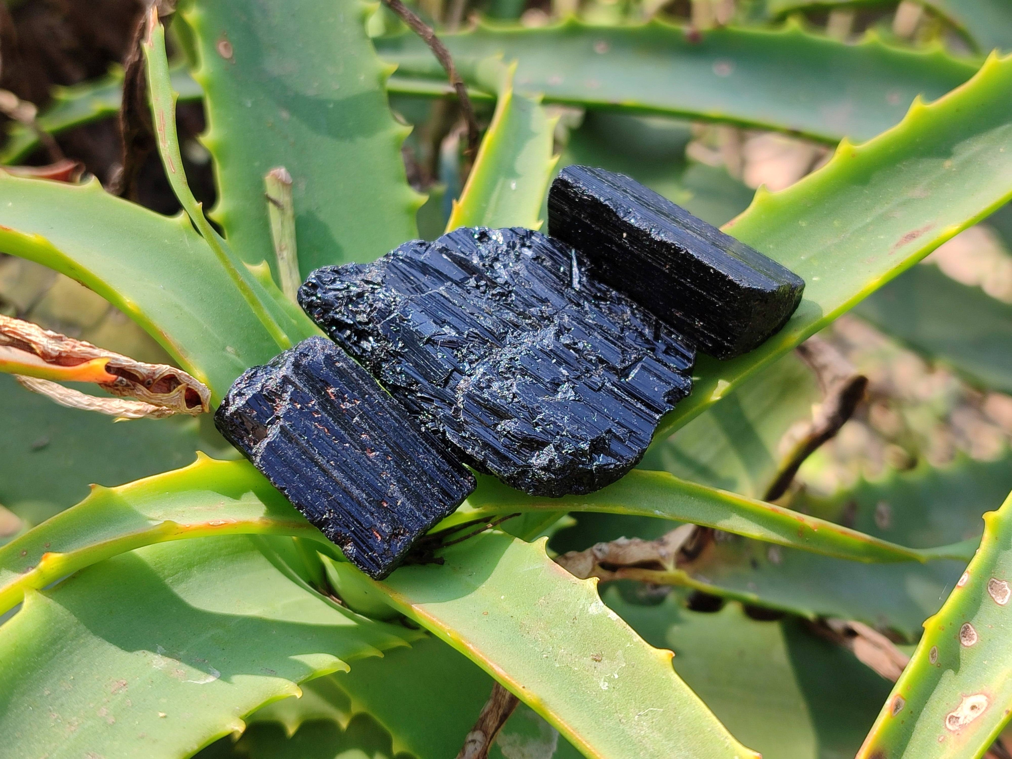 Natural Alluvial Schorl Black Tourmaline Crystals x 1.58 Kg Lot From Zimbabwe - Toprock Gemstones and Minerals 