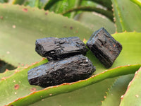 Natural Alluvial Schorl Black Tourmaline Crystals x 1.58 Kg Lot From Zimbabwe - Toprock Gemstones and Minerals 