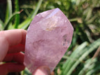 Polished Gemmy Double Terminated Rose Quartz Points x 3 From Madagascar - Toprock Gemstones and Minerals 