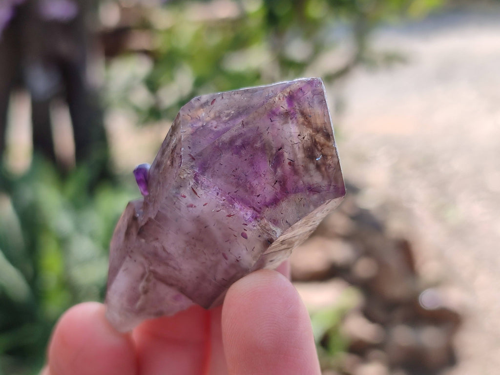 Natural Window Amethyst Crystals x 6 From Chiredzi, Zimbabwe - Toprock Gemstones and Minerals 