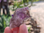 Natural Window Amethyst Crystals x 6 From Chiredzi, Zimbabwe - Toprock Gemstones and Minerals 