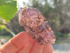 Natural Window Amethyst Crystals x 6 From Chiredzi, Zimbabwe - Toprock Gemstones and Minerals 