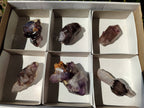 Natural Window Amethyst Crystals x 6 From Chiredzi, Zimbabwe - Toprock Gemstones and Minerals 