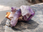 Natural Window Amethyst Crystals x 6 From Chiredzi, Zimbabwe - Toprock Gemstones and Minerals 