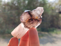 Natural Window Amethyst Crystals x 6 From Chiredzi, Zimbabwe - Toprock Gemstones and Minerals 
