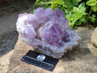 Natural Jacaranda Amethyst Quartz Crystals x 1 From Mumbwa, Zambia - Toprock Gemstones and Minerals 