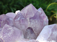 Natural Jacaranda Amethyst Quartz Crystals x 1 From Mumbwa, Zambia - Toprock Gemstones and Minerals 