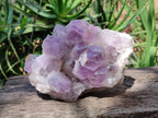 Natural Jacaranda Amethyst Quartz Crystals x 1 From Mumbwa, Zambia - Toprock Gemstones and Minerals 