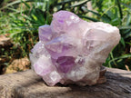 Natural Jacaranda Amethyst Quartz Crystals x 1 From Mumbwa, Zambia - Toprock Gemstones and Minerals 