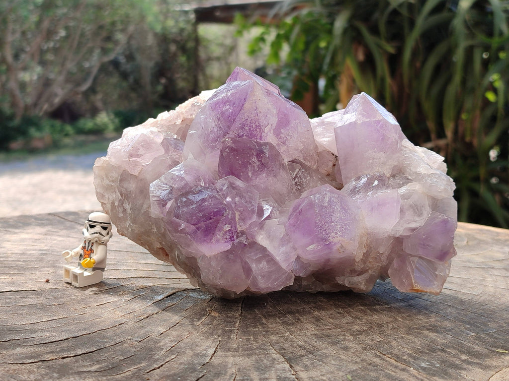 Natural Jacaranda Amethyst Quartz Crystals x 1 From Mumbwa, Zambia - Toprock Gemstones and Minerals 