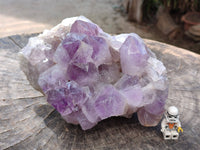 Natural Jacaranda Amethyst Quartz Crystals x 1 From Mumbwa, Zambia - Toprock Gemstones and Minerals 