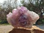 Natural Jacaranda Amethyst Quartz Crystals x 1 From Mumbwa, Zambia - Toprock Gemstones and Minerals 