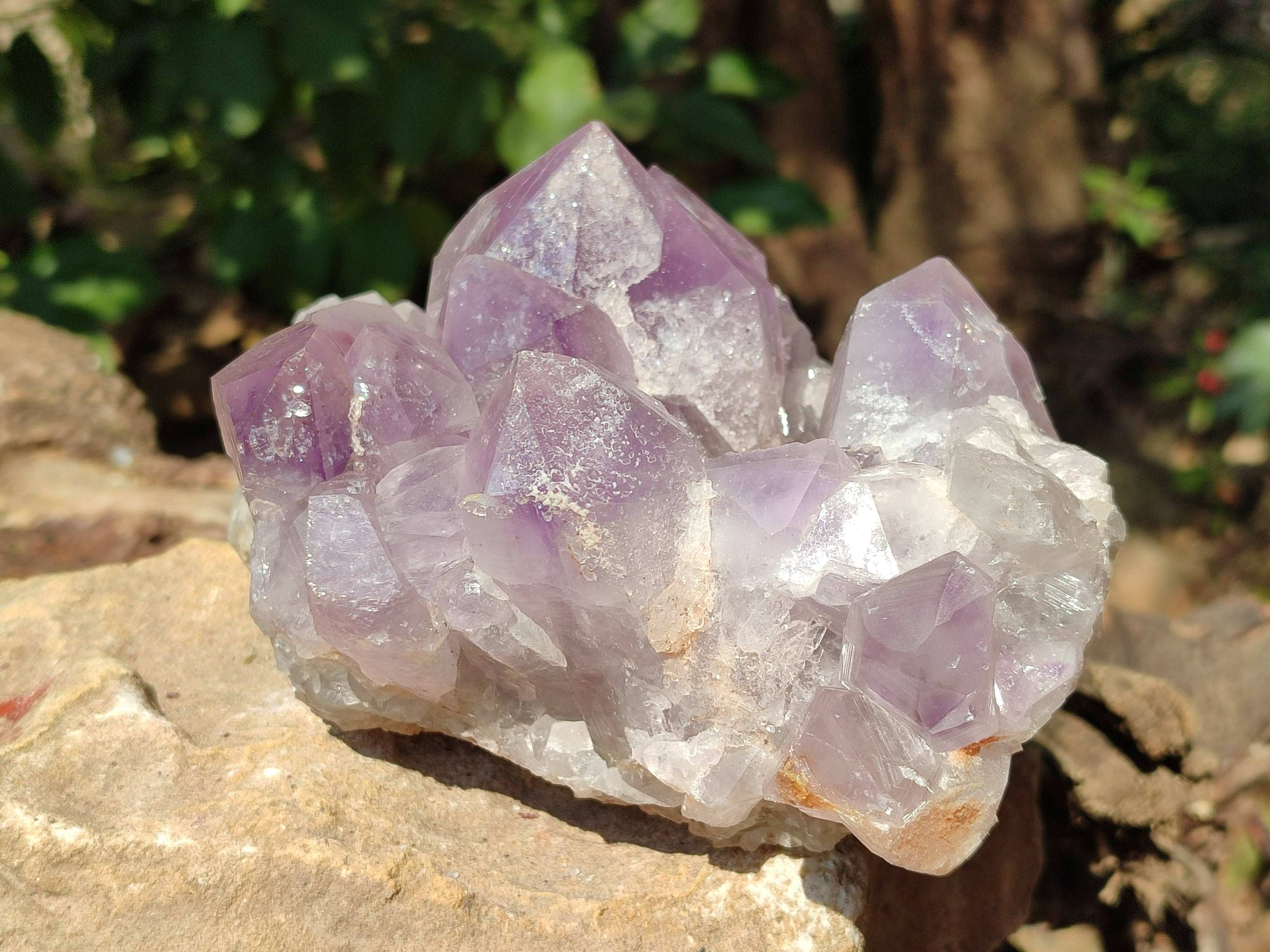 Natural Jacaranda Amethyst Quartz Crystals x 1 From Mumbwa, Zambia - Toprock Gemstones and Minerals 