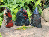 Polished Bloodstone Points x 3 From Swaziland - Toprock Gemstones and Minerals 