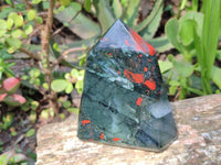 Polished Bloodstone Points x 3 From Swaziland - Toprock Gemstones and Minerals 