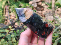 Polished Bloodstone Points x 3 From Swaziland - Toprock Gemstones and Minerals 
