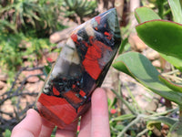 Polished Bloodstone Points x 3 From Swaziland - Toprock Gemstones and Minerals 
