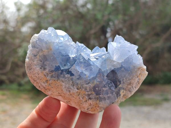 Natural Blue Celestite Crystal Specimens x 3 From Sakoany, Madagascar - Toprock Gemstones and Minerals 