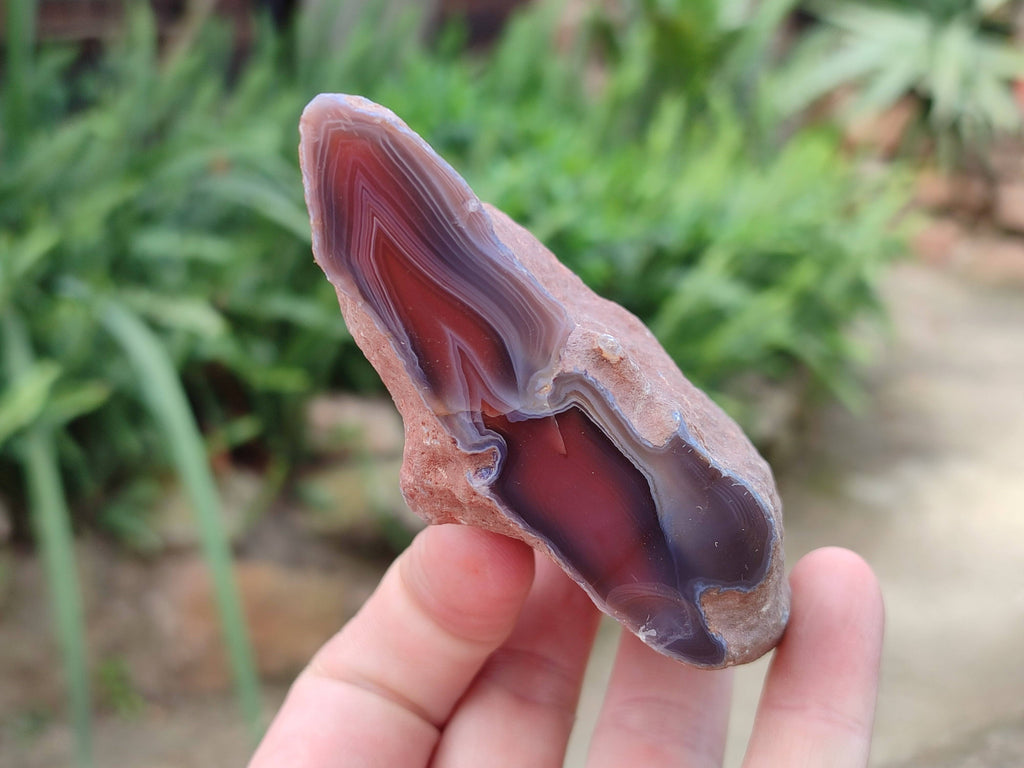Polished Red Sashe River Agate Nodules x 12 From Sashe River, Zimbabwe - Toprock Gemstones and Minerals 