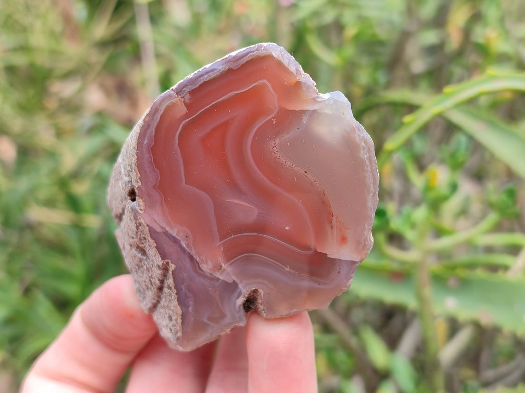Polished Red Sashe River Agate Nodules x 12 From Sashe River, Zimbabwe - Toprock Gemstones and Minerals 