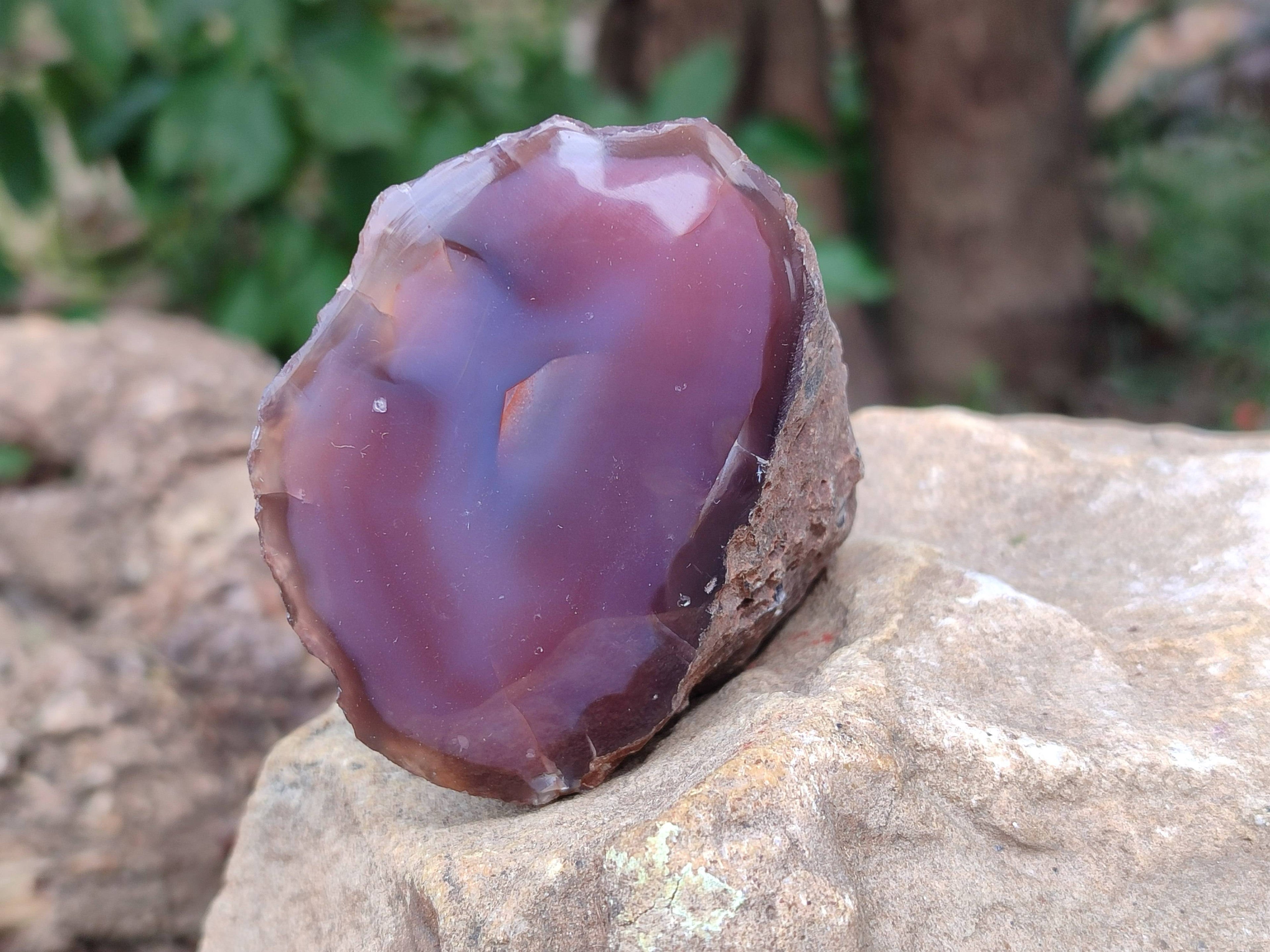 Polished Red Sashe River Agate Nodules x 12 From Sashe River, Zimbabwe - Toprock Gemstones and Minerals 