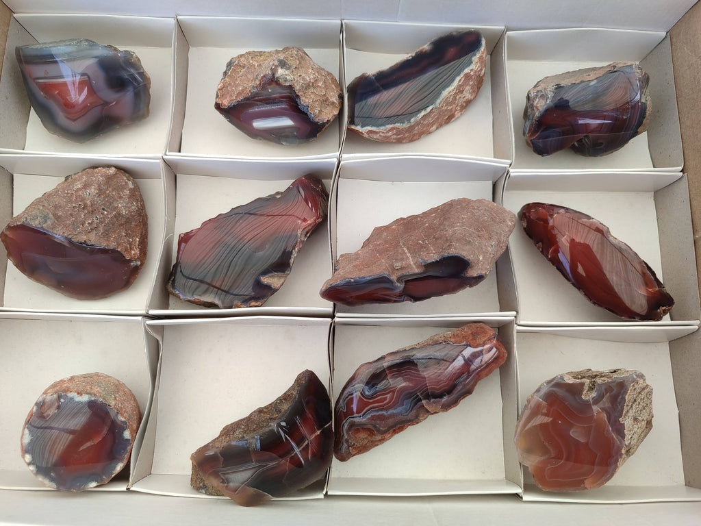 Polished Red Sashe River Agate Nodules x 12 From Sashe River, Zimbabwe - Toprock Gemstones and Minerals 