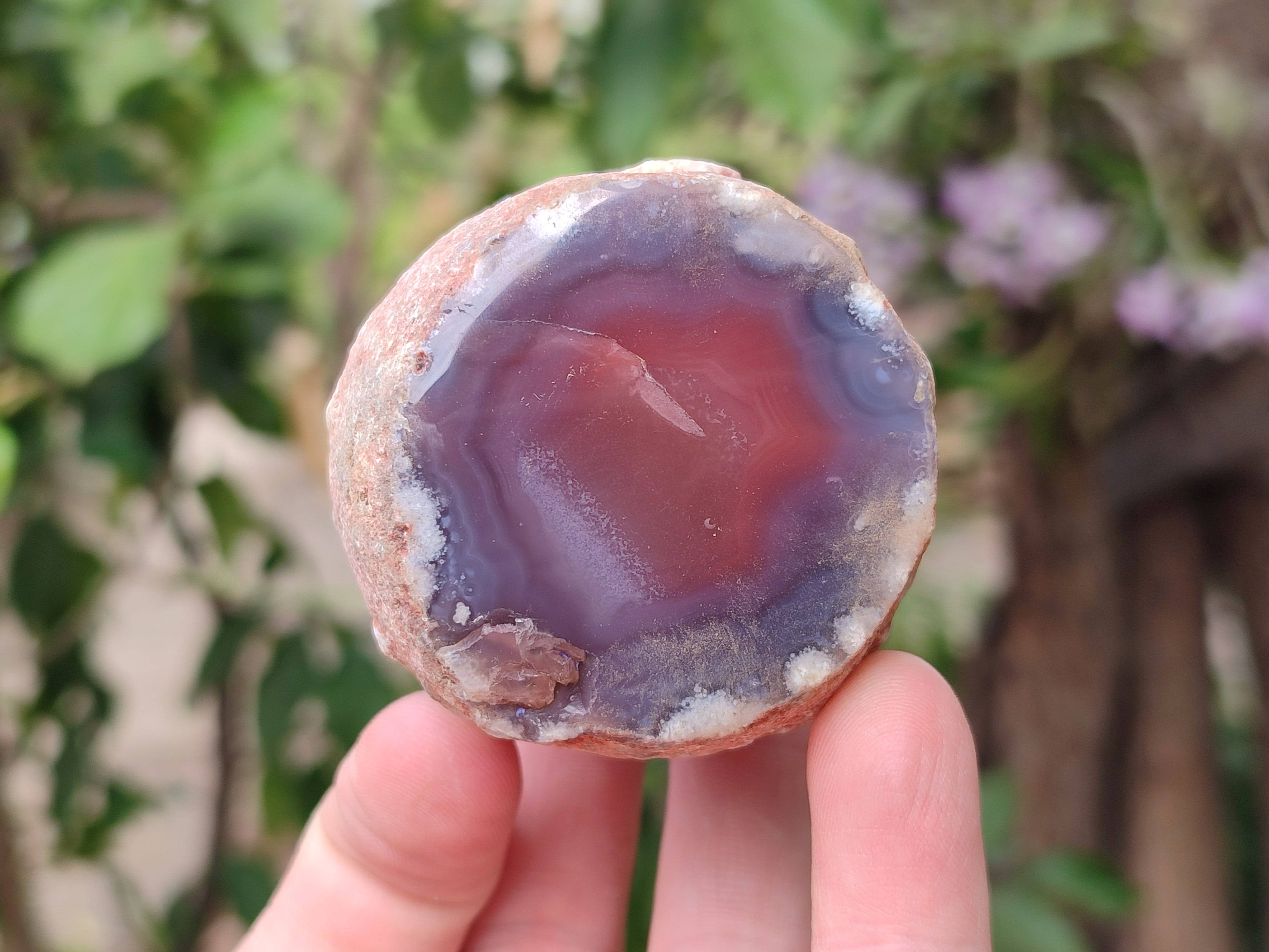Polished Red Sashe River Agate Nodules x 12 From Sashe River, Zimbabwe - Toprock Gemstones and Minerals 