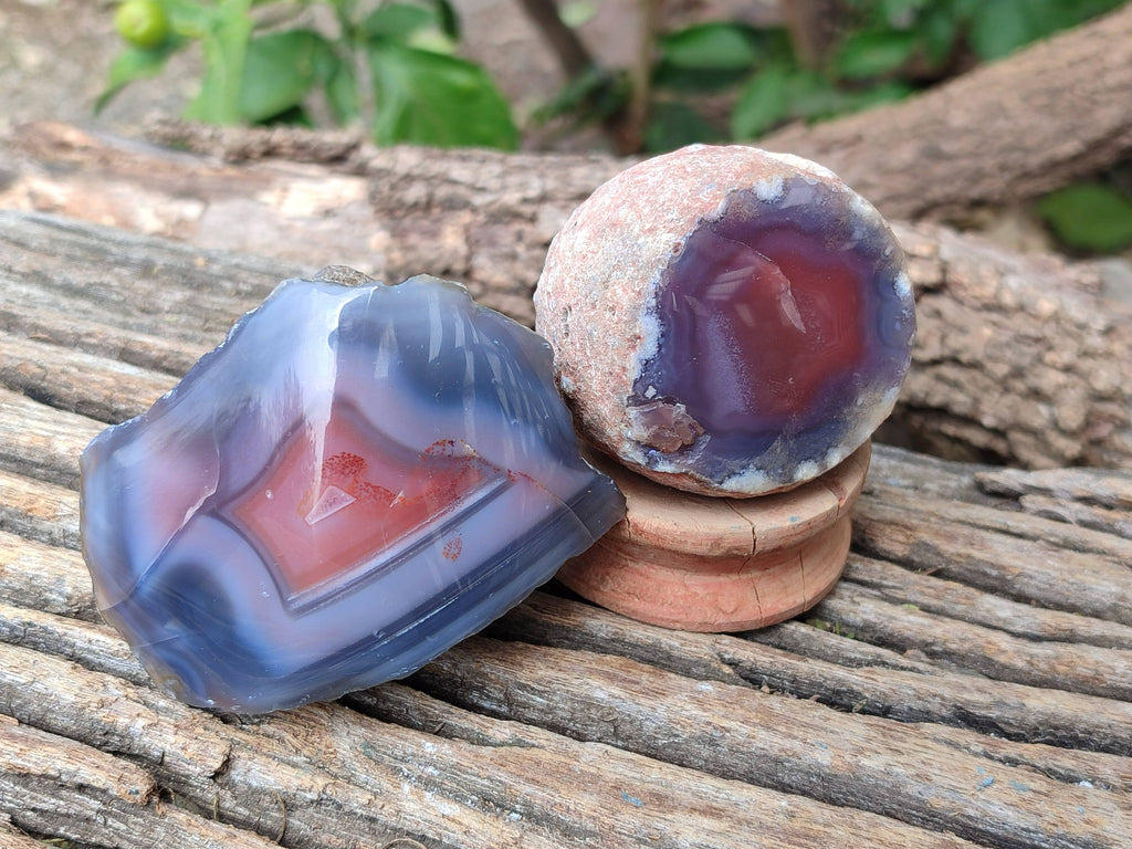 Polished Red Sashe River Agate Nodules x 12 From Sashe River, Zimbabwe - Toprock Gemstones and Minerals 