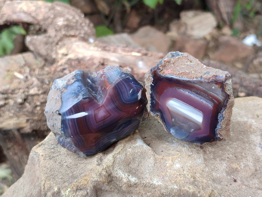Polished Red Sashe River Agate Nodules x 12 From Sashe River, Zimbabwe - Toprock Gemstones and Minerals 