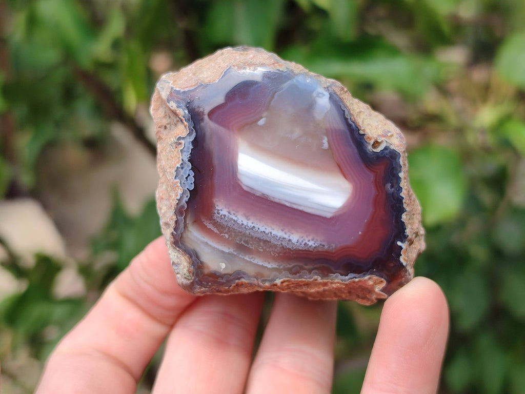 Polished Red Sashe River Agate Nodules x 12 From Sashe River, Zimbabwe - Toprock Gemstones and Minerals 
