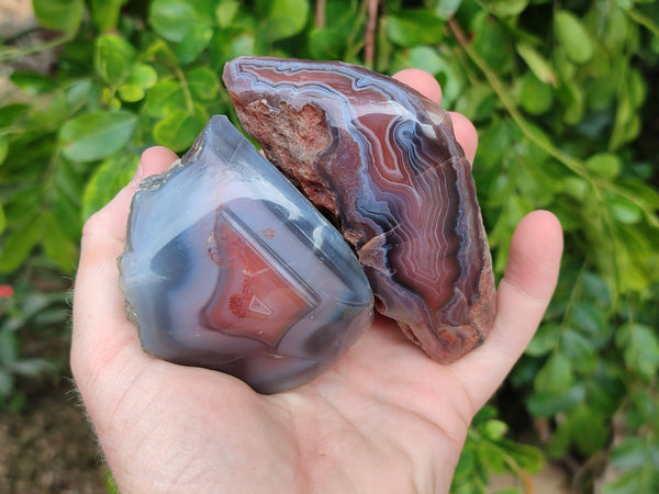 Polished Red Sashe River Agate Nodules x 12 From Sashe River, Zimbabwe - Toprock Gemstones and Minerals 