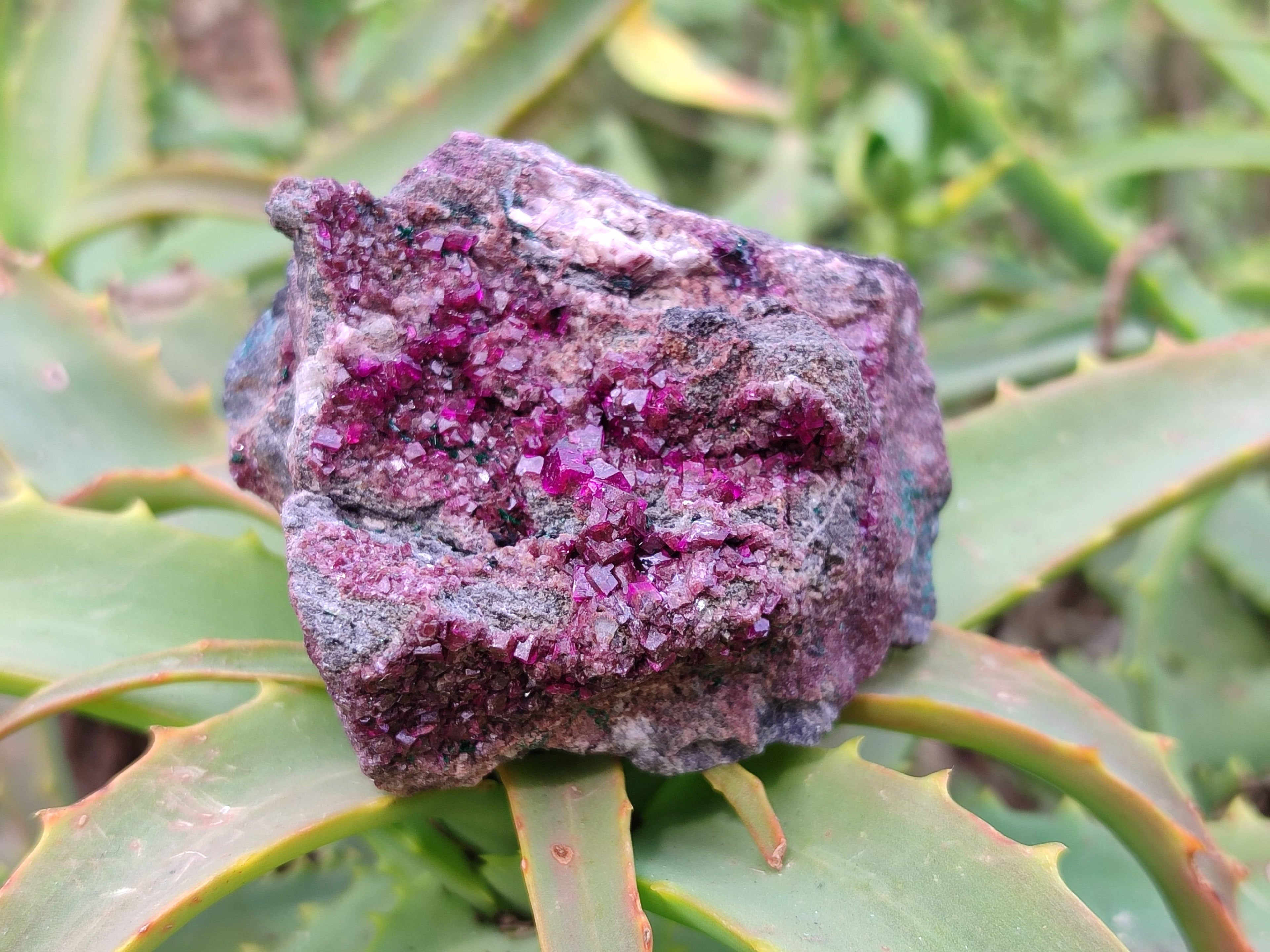 Natural Salrose Cobaltion Dolomite Specimens x 6 From Kakanda, Congo - Toprock Gemstones and Minerals 