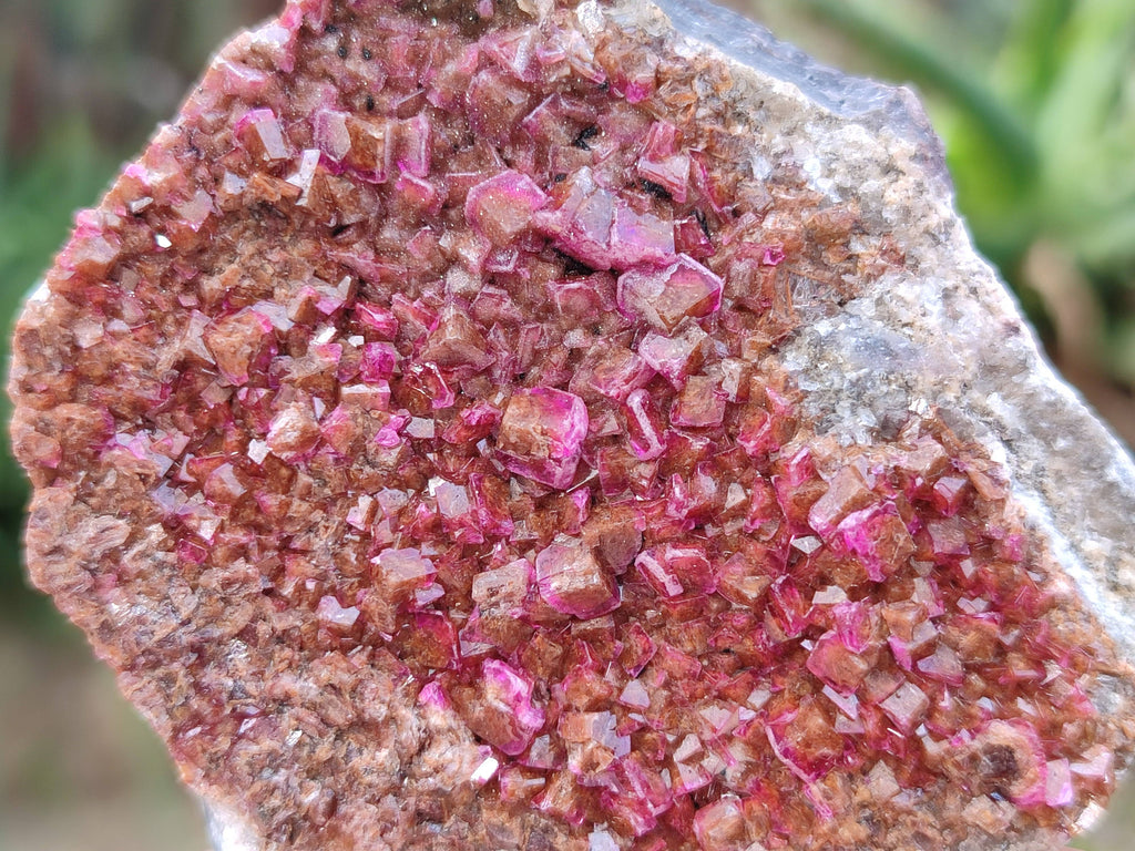 Natural Salrose Cobaltion Dolomite Specimens x 6 From Kakanda, Congo - Toprock Gemstones and Minerals 