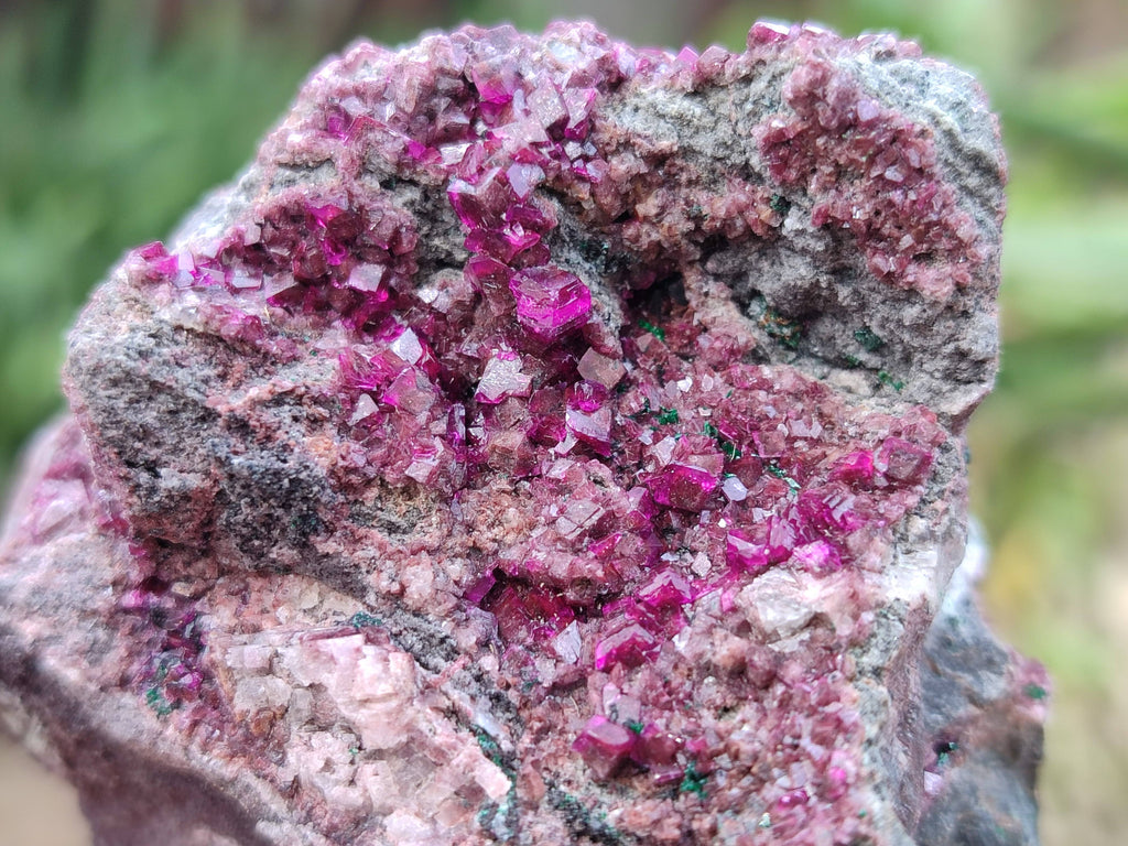 Natural Salrose Cobaltion Dolomite Specimens x 6 From Kakanda, Congo - Toprock Gemstones and Minerals 