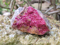 Natural Salrose Cobaltion Dolomite Specimens x 6 From Kakanda, Congo - Toprock Gemstones and Minerals 