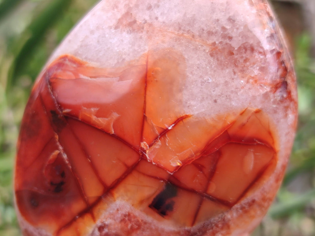 Polished Carnelian Agate Gemstone Standing Free Form x 3 From Madagascar - Toprock Gemstones and Minerals 