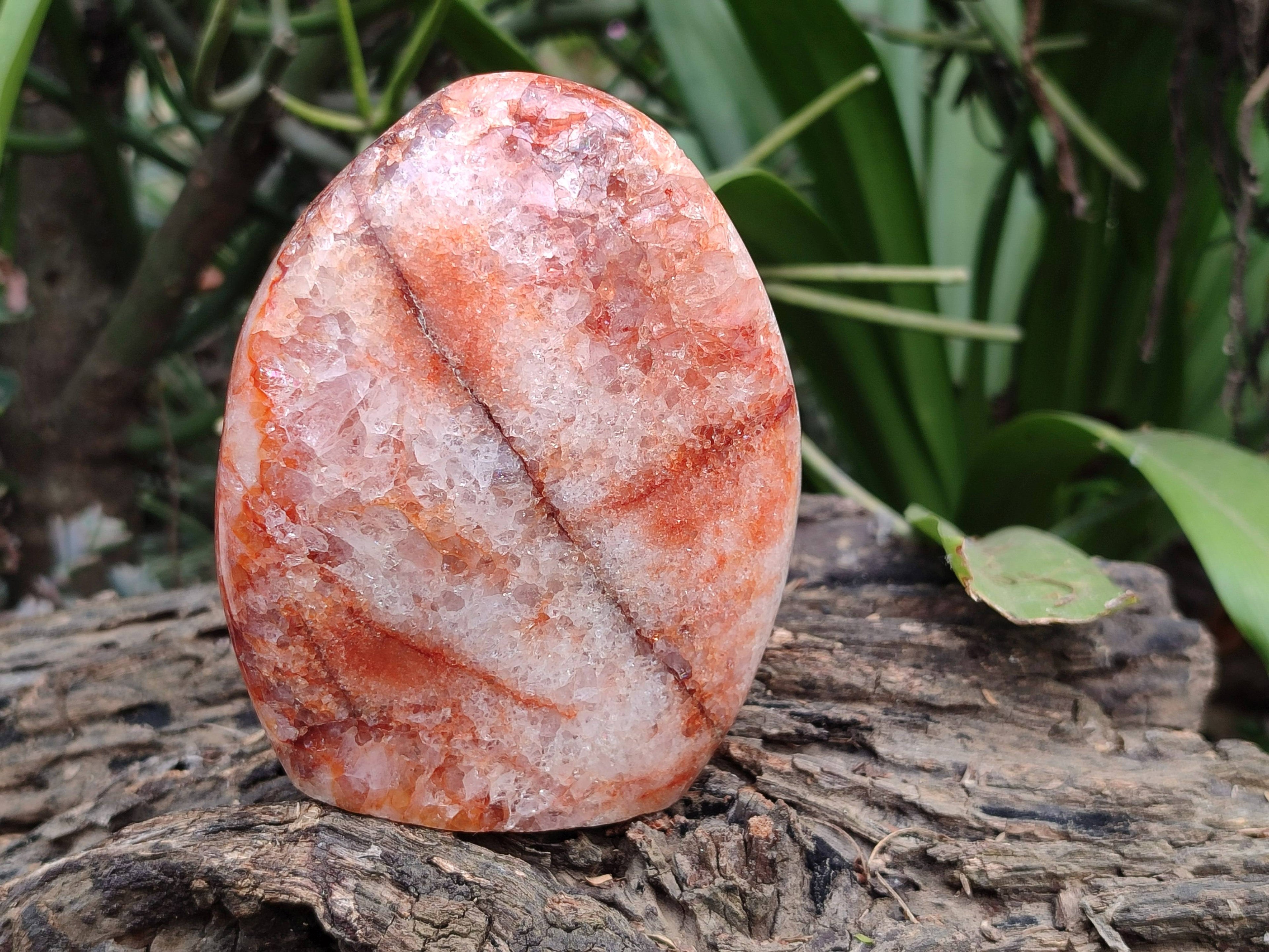 Polished Carnelian Agate Gemstone Standing Free Form x 3 From Madagascar - Toprock Gemstones and Minerals 