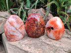 Polished Carnelian Agate Gemstone Standing Free Form x 3 From Madagascar - Toprock Gemstones and Minerals 