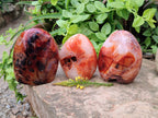 Polished Carnelian Agate Gemstone Standing Free Form x 3 From Madagascar - Toprock Gemstones and Minerals 