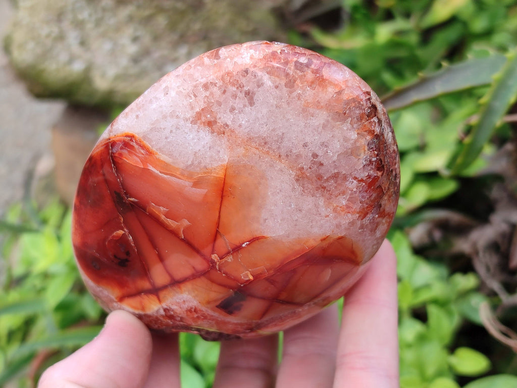Polished Carnelian Agate Gemstone Standing Free Form x 3 From Madagascar - Toprock Gemstones and Minerals 
