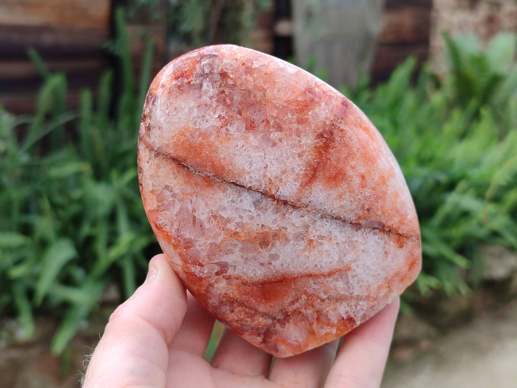 Polished Carnelian Agate Gemstone Standing Free Form x 3 From Madagascar - Toprock Gemstones and Minerals 