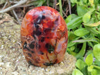Polished Carnelian Agate Gemstone Standing Free Form x 3 From Madagascar - Toprock Gemstones and Minerals 