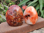Polished Carnelian Agate Gemstone Standing Free Form x 3 From Madagascar - Toprock Gemstones and Minerals 