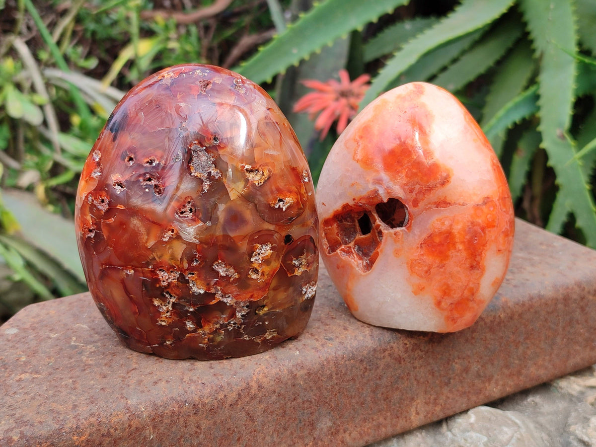 Polished Carnelian Agate Gemstone Standing Free Form x 3 From Madagascar - Toprock Gemstones and Minerals 