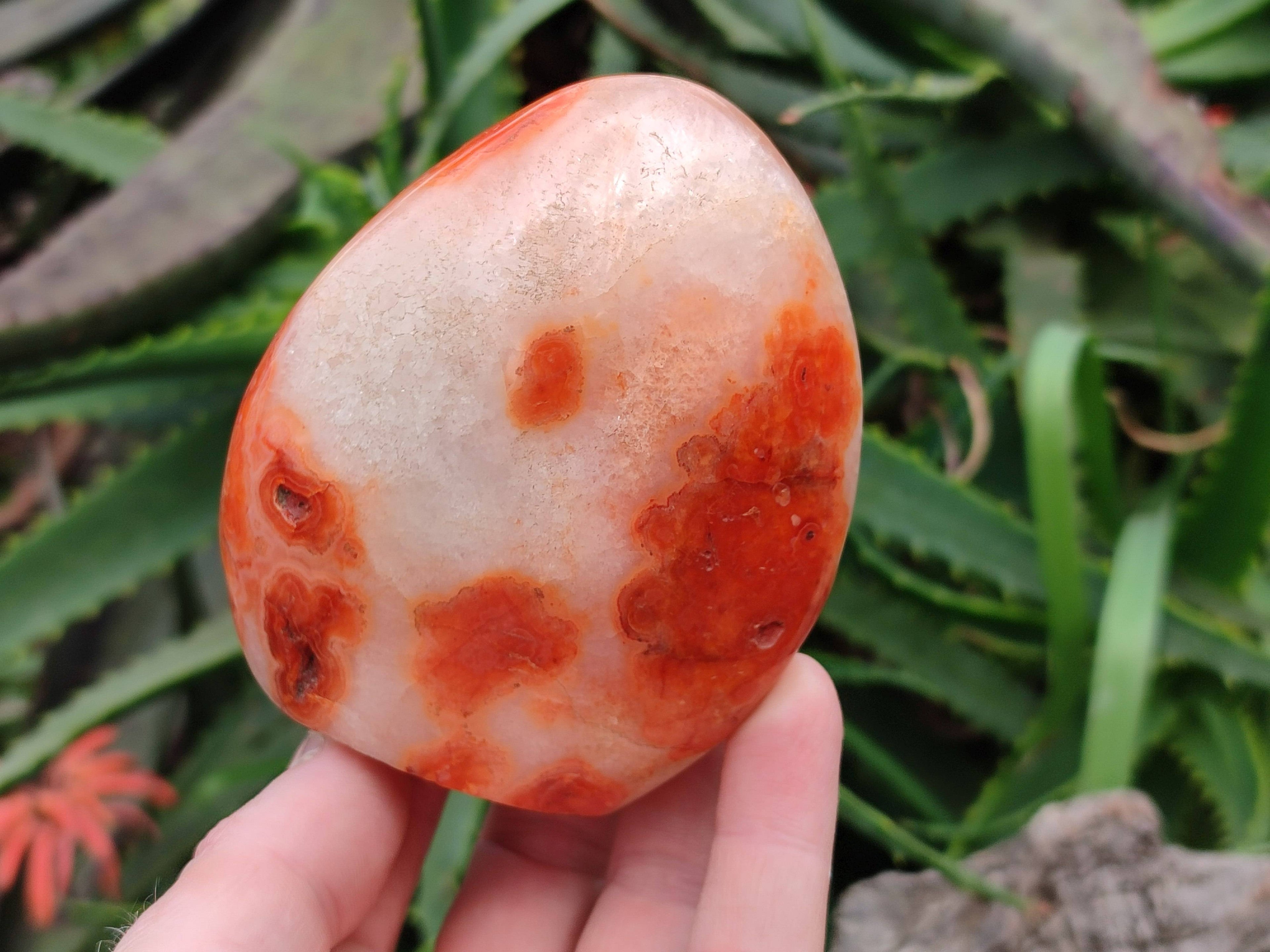 Polished Carnelian Agate Gemstone Standing Free Form x 3 From Madagascar - Toprock Gemstones and Minerals 