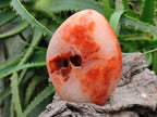 Polished Carnelian Agate Gemstone Standing Free Form x 3 From Madagascar - Toprock Gemstones and Minerals 